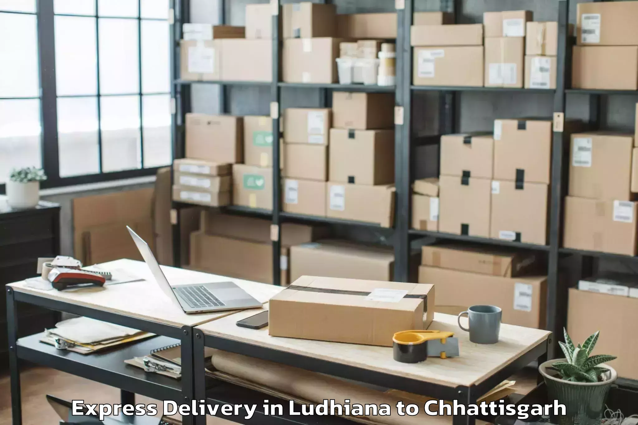 Trusted Ludhiana to Op Jindal University Raigarh Express Delivery